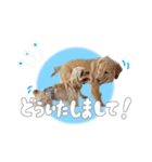 メルくんスタンプ♪（個別スタンプ：3）