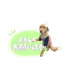 メルくんスタンプ♪（個別スタンプ：4）