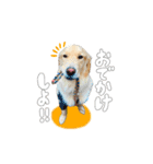 メルくんスタンプ♪（個別スタンプ：5）