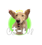 メルくんスタンプ♪（個別スタンプ：6）