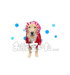 メルくんスタンプ♪（個別スタンプ：8）