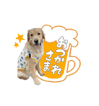 メルくんスタンプ♪（個別スタンプ：10）