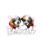 メルくんスタンプ♪（個別スタンプ：11）