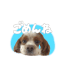 メルくんスタンプ♪（個別スタンプ：12）