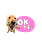 メルくんスタンプ♪（個別スタンプ：14）