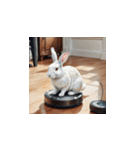 毎日使える敬語ウサギ on ロボット掃除機（個別スタンプ：12）