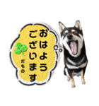 とよのスタンプだもの。の巻（個別スタンプ：1）