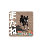 とよのスタンプだもの。の巻（個別スタンプ：9）
