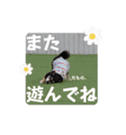 とよのスタンプだもの。の巻（個別スタンプ：11）