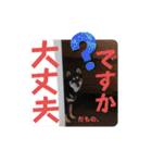 とよのスタンプだもの。の巻（個別スタンプ：12）