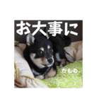 とよのスタンプだもの。の巻（個別スタンプ：14）