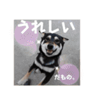 とよのスタンプだもの。の巻（個別スタンプ：17）