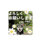 とよのスタンプだもの。の巻（個別スタンプ：26）