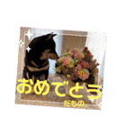 とよのスタンプだもの。の巻（個別スタンプ：31）