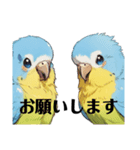 AI・インコ(会話)（個別スタンプ：31）