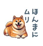 関西弁ぽっちゃり柴犬【おもしろい】（個別スタンプ：6）