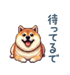 関西弁ぽっちゃり柴犬【おもしろい】（個別スタンプ：18）