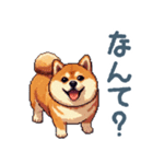 関西弁ぽっちゃり柴犬【おもしろい】（個別スタンプ：25）