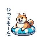 関西弁ぽっちゃり柴犬【おもしろい】（個別スタンプ：26）