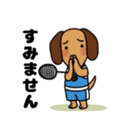 バドミントン好きな犬（個別スタンプ：13）