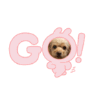 こだま号参上！∠( ˙-˙ )／（個別スタンプ：1）