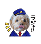 こだま号参上！∠( ˙-˙ )／（個別スタンプ：3）