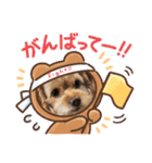 こだま号参上！∠( ˙-˙ )／（個別スタンプ：8）