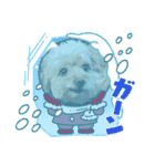 こだま号参上！∠( ˙-˙ )／（個別スタンプ：10）
