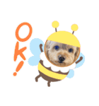 こだま号参上！∠( ˙-˙ )／（個別スタンプ：11）
