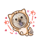 こだま号参上！∠( ˙-˙ )／（個別スタンプ：14）
