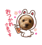 こだま号参上！∠( ˙-˙ )／（個別スタンプ：15）