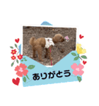 ララァ〜miku作〜（個別スタンプ：13）
