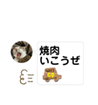 ててです4（個別スタンプ：22）