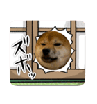 きなこんのすたんぷ（個別スタンプ：2）