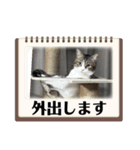 ありちゃんちの猫（個別スタンプ：5）