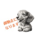可愛い犬鉛筆画のイラスト（個別スタンプ：5）