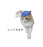 ふわふわねこ【レオくん】（個別スタンプ：10）