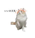 ふわふわねこ【レオくん】（個別スタンプ：18）