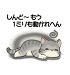 笑顔を運ぶ猫たち ♡ お疲れモード(関西弁)（個別スタンプ：19）
