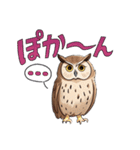 とても可愛いフクロウのスタンプ（個別スタンプ：12）