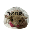 かんちゃん 3（個別スタンプ：4）