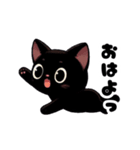 黒猫ちゃんの日常1（個別スタンプ：1）