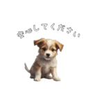 可愛い子犬の日々だワン！（個別スタンプ：29）