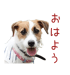 そら日和（JRT)（個別スタンプ：1）