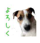 そら日和（JRT)（個別スタンプ：2）