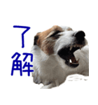 そら日和（JRT)（個別スタンプ：3）