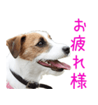 そら日和（JRT)（個別スタンプ：4）