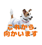 そら日和（JRT)（個別スタンプ：5）