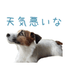 そら日和（JRT)（個別スタンプ：10）