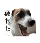 そら日和（JRT)（個別スタンプ：13）